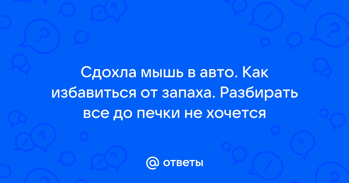 Как избавиться от мертвой мыши