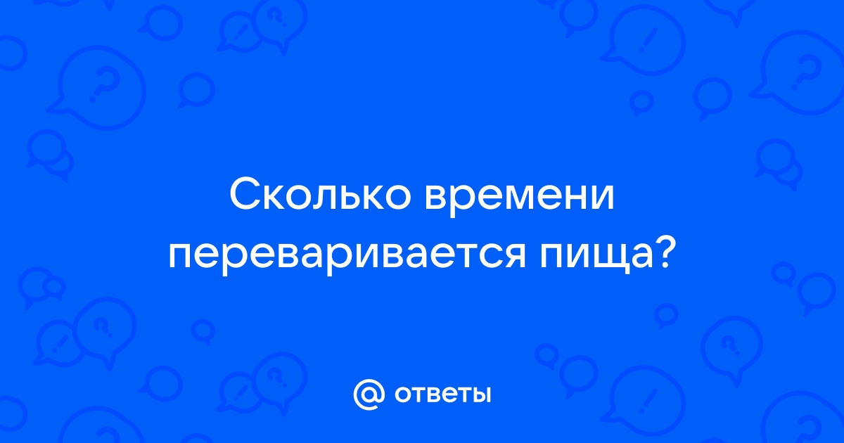 Как работает пищеварительная система человека