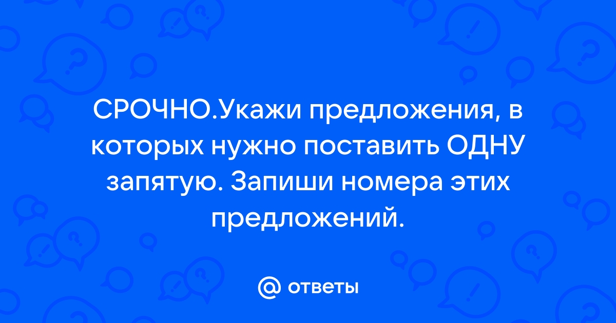 И день и ночь жуки прилежно грызли деревянные стенки домика