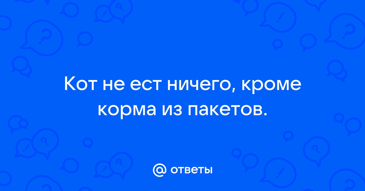 Почему кошка не ест? - интернет-зоомагазин Четыре Лапы