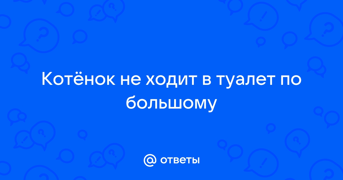 Почему котенок не ходит в туалет и как ему помочь