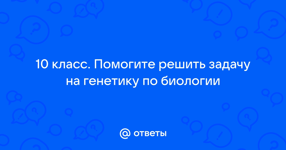 Сериал Солдаты 9 сезон