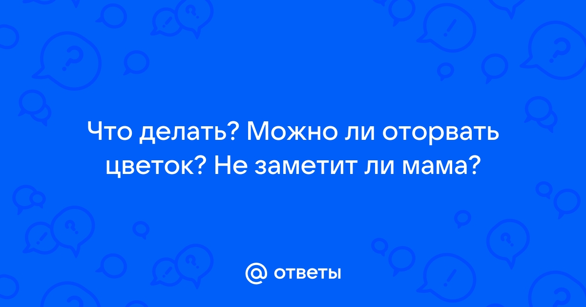 «Мама боится выезжать, потому что дом могут отобрать» - Голоса Мирных