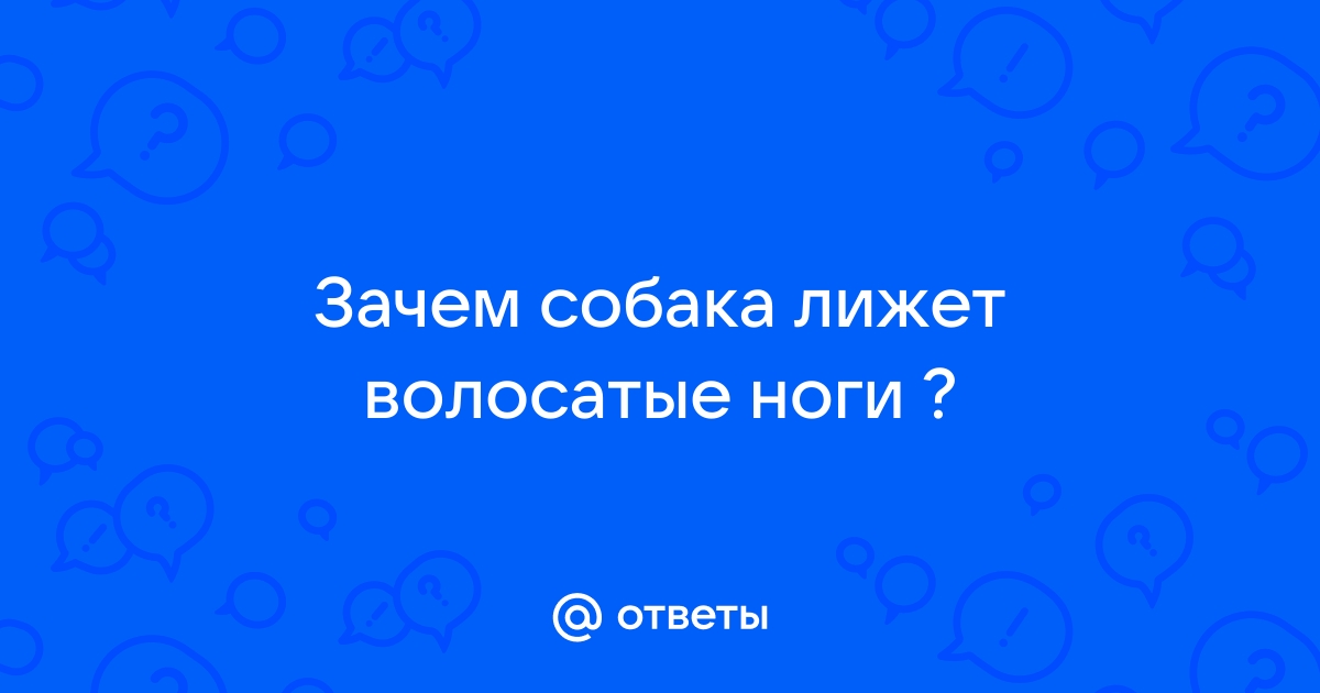 Вылизал волосатую пизду - Поиск порно