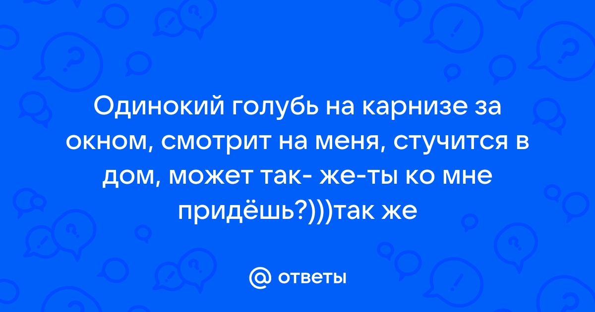 Одинокий голубь на карнизе текст