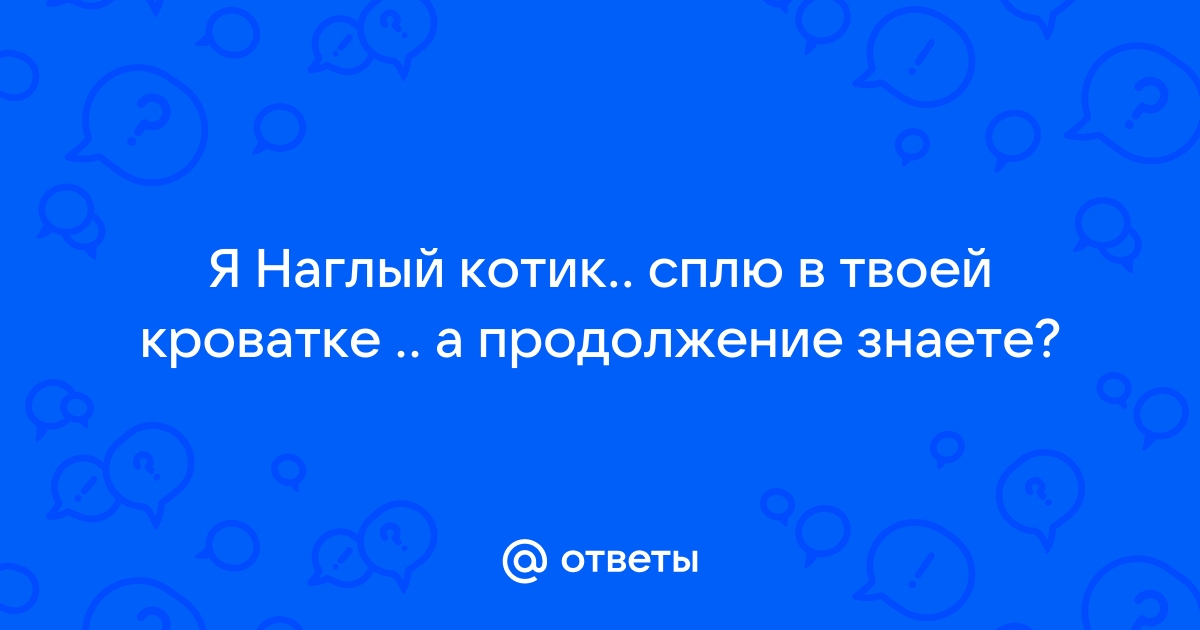 Я наглый котик сплю в твоей кровати