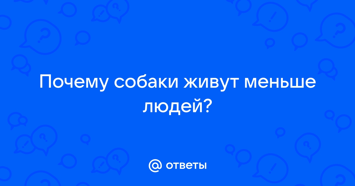 Почему собаки живут меньше людей?