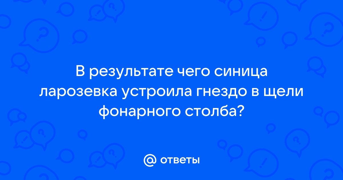 Впр воробей чив и его подружка чука сложили гнездо в щели под карнизом