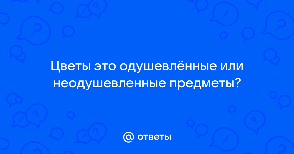 Слова, которые называют одушевленные и неодушевленные предметы. 2-й класс