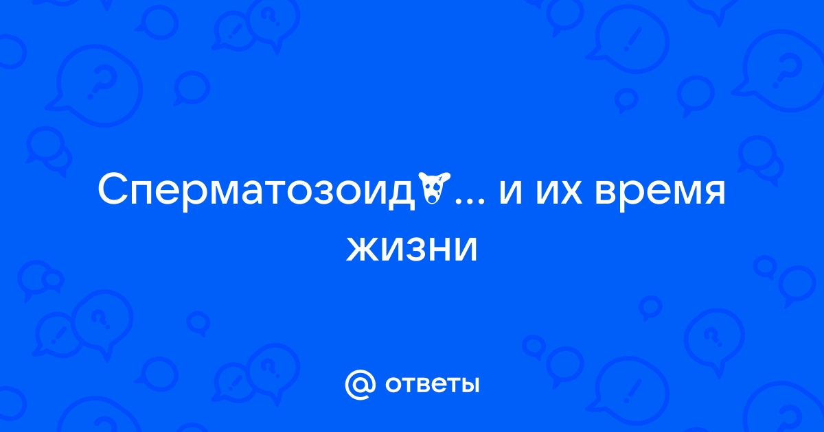 Сколько дней сперматозоиды остаются активны в полости матки?