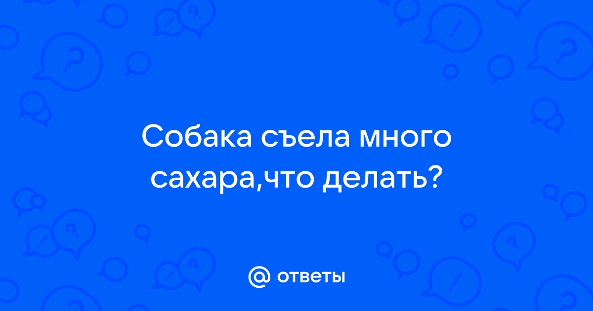 Щенок бигля съел стакан сахара. Велика ли опасность?