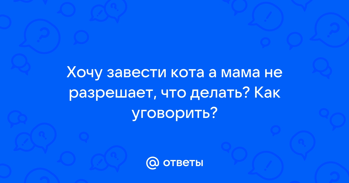 Ответы Mailru: Хочу завести кота а мама не разрешает, что делать? Как