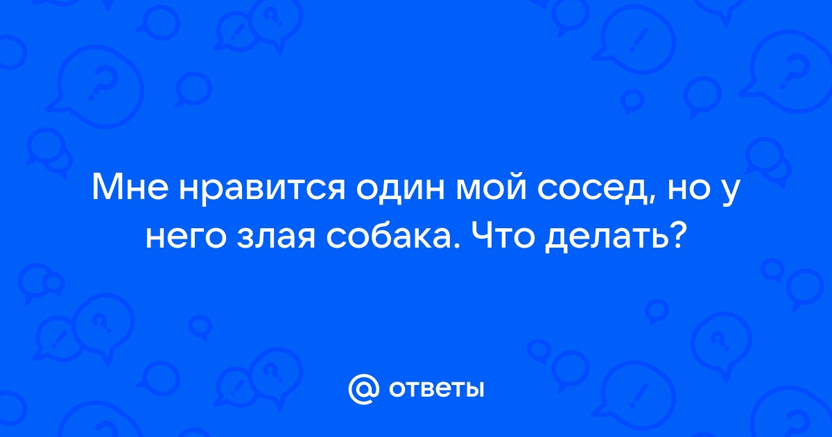 Погавкай мне тут Как быть, если соседская собака мешает спокойно жить? | Челябинский Обзор