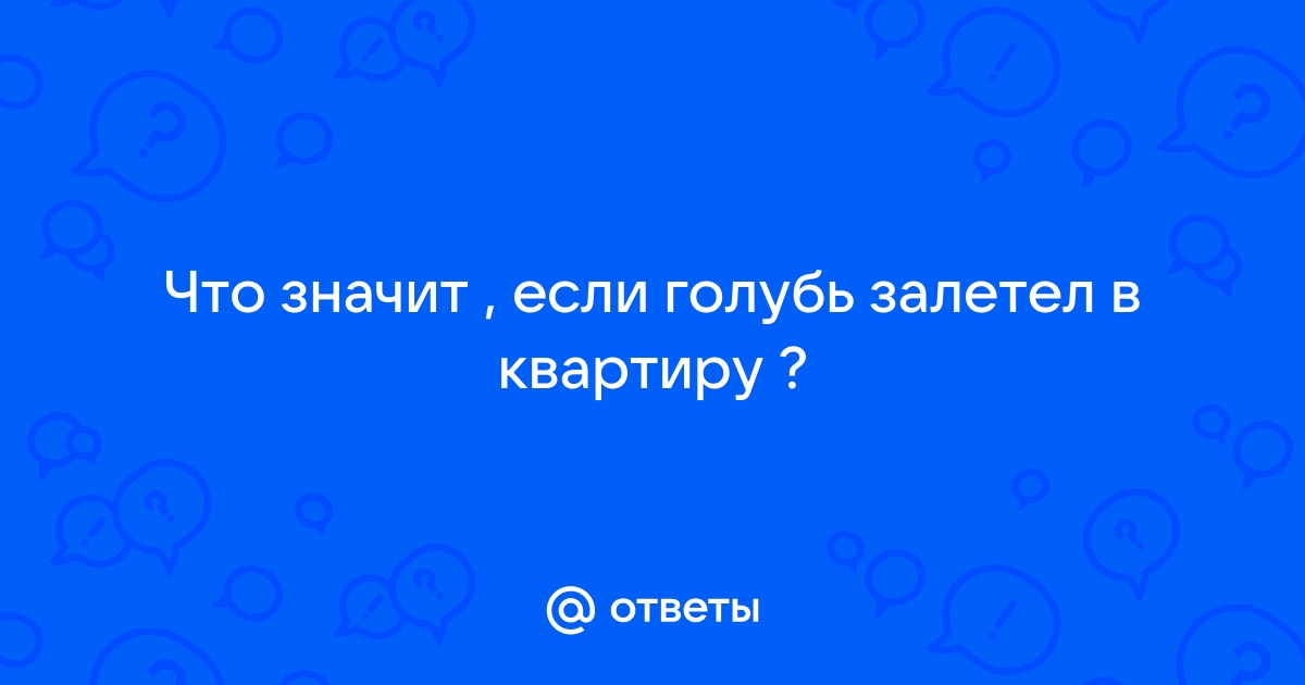 Голубь залетел в квартиру - Спроси у бывалых - Страна Мам