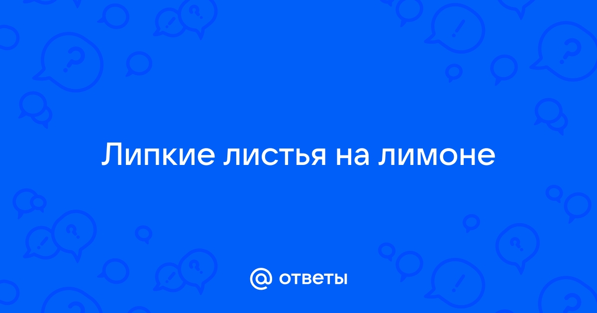 Как бороться с липкими листьями у лимонного дерева. Причины их появления