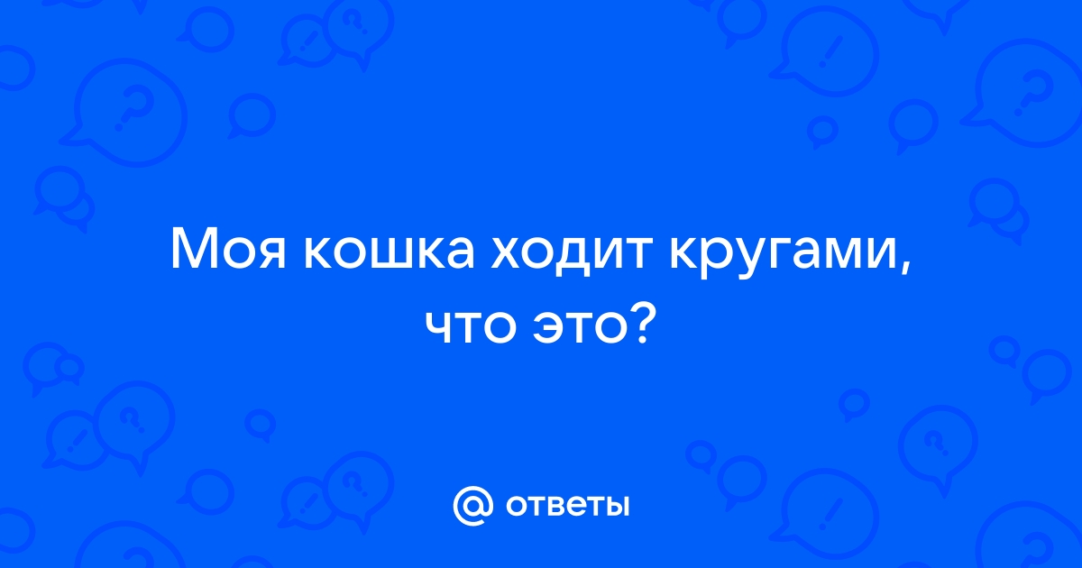 Кошка ходит кругами. Что это значит. Причины такого поведения