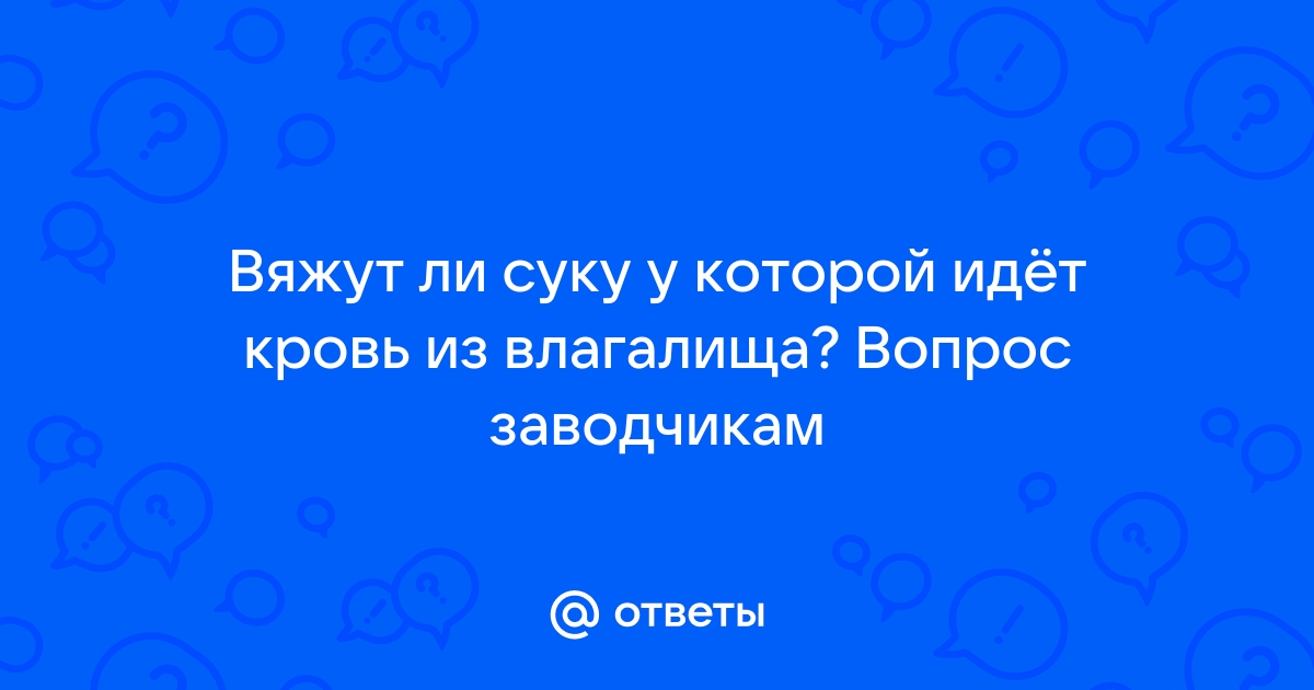 Выделения у собаки из петли: причины, лечение, патологии