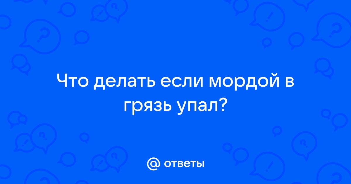 Появился простой способ удалить влагу и грязь из телефона - Hi-Tech пластиковыеокнавтольятти.рф