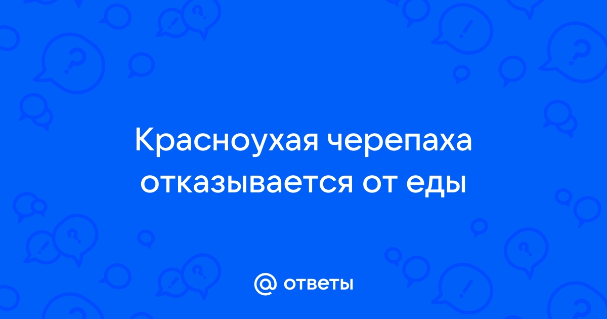 Что делать, если красноухая черепаха отказывается от еды