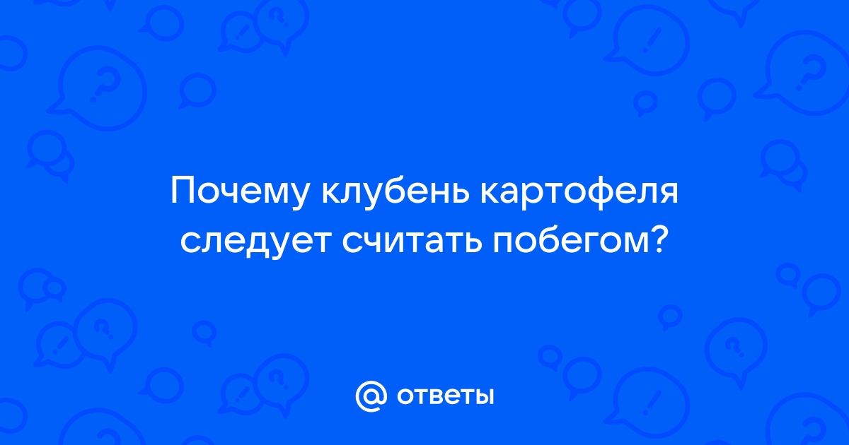 Почему клубень картофеля следует считать побегом?