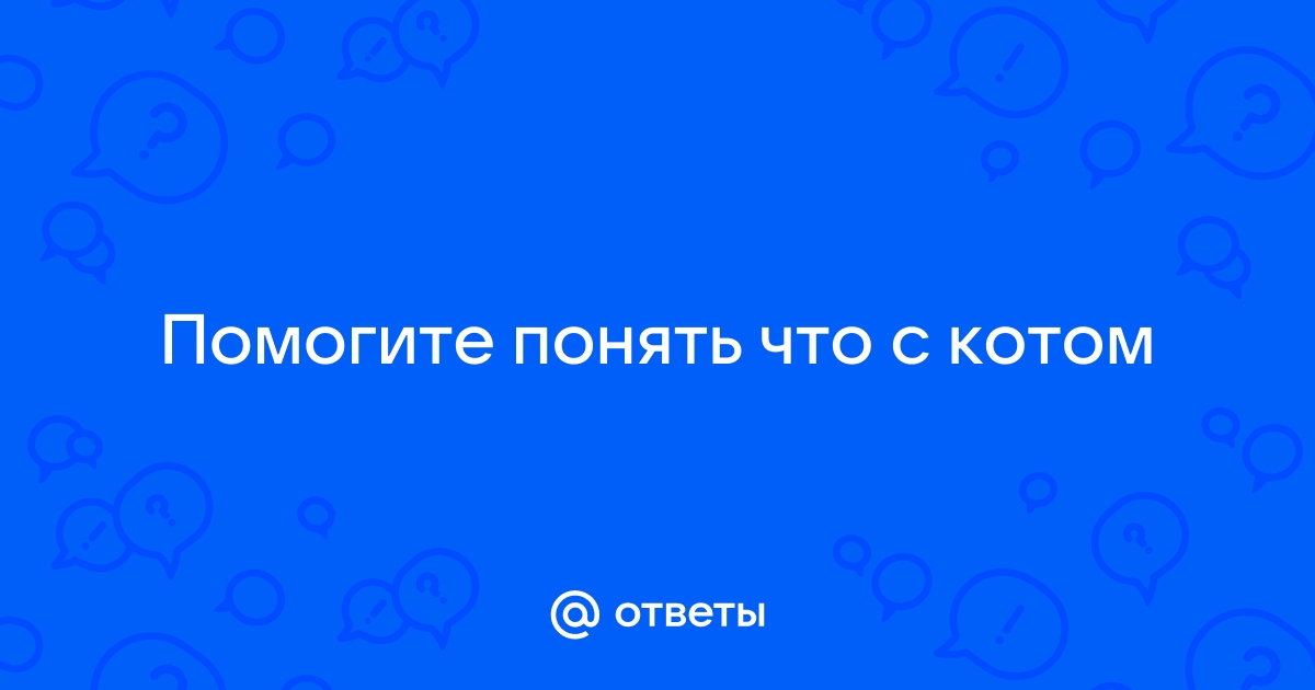 Встанем кто написал