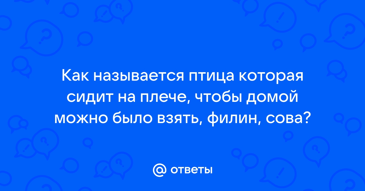 Птицы ответ на вопрос