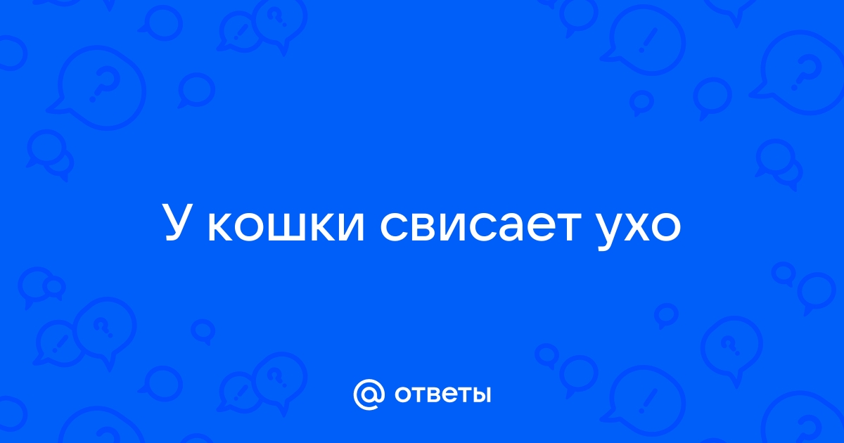 Половине ответить