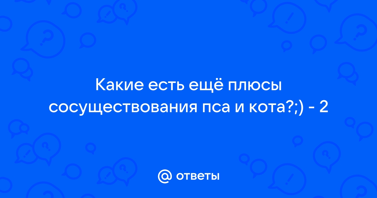 Что ответить на какая есть