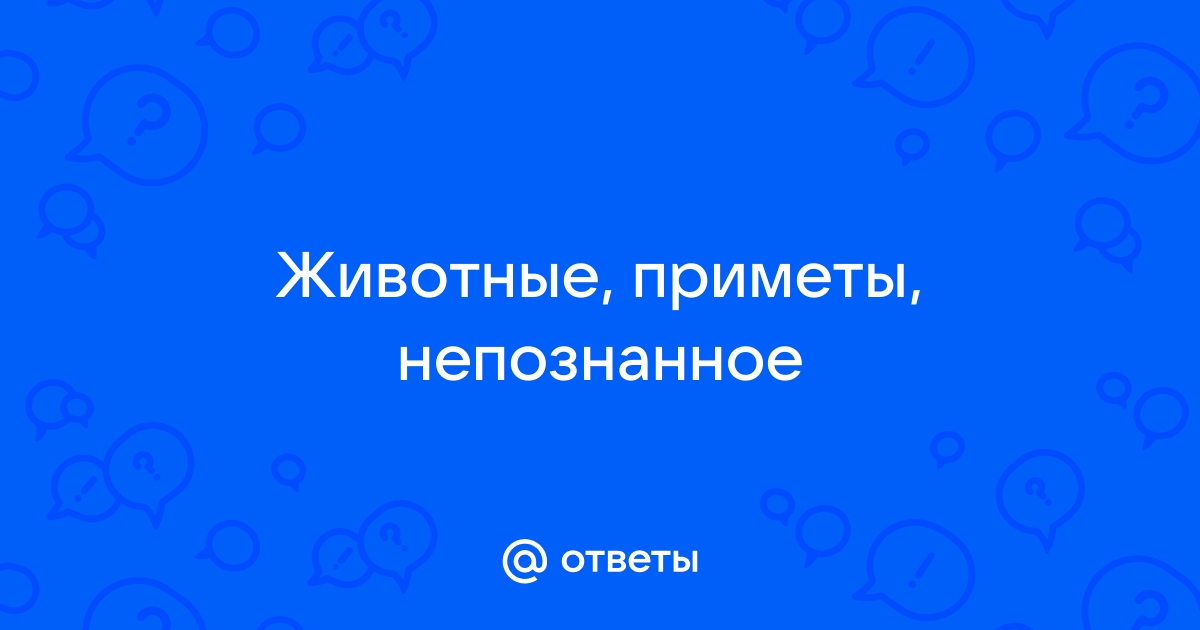 Ответ зверь