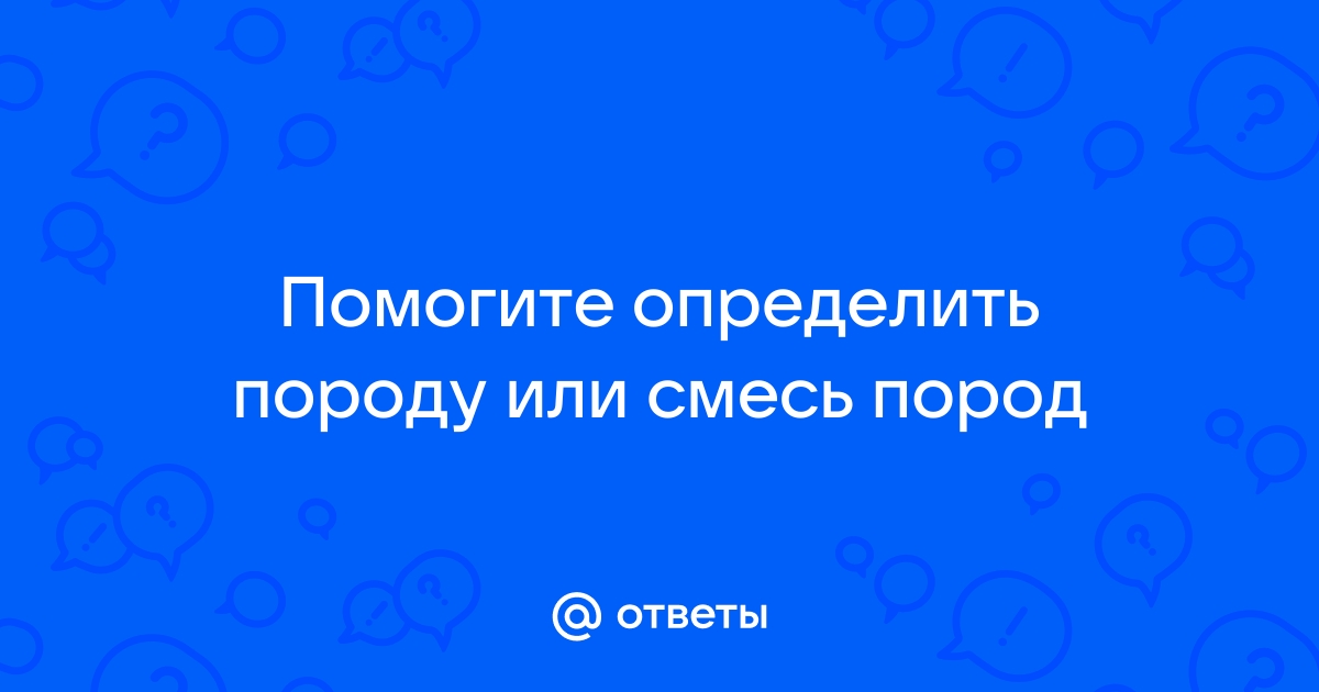 Способствует быстрому