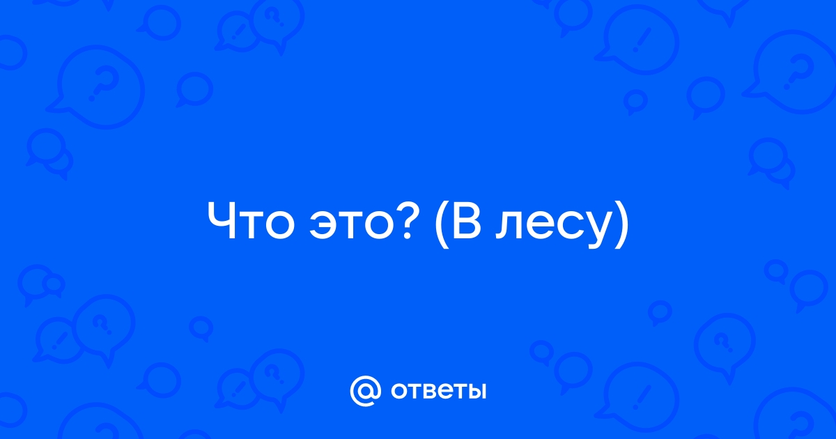 Ответы м р