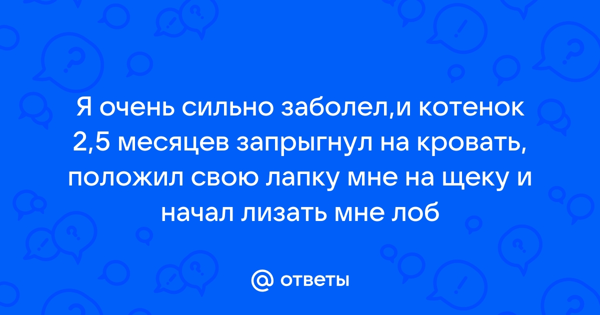 как я стал лизать пизду - порно рассказы и секс истории для взрослых бесплатно |