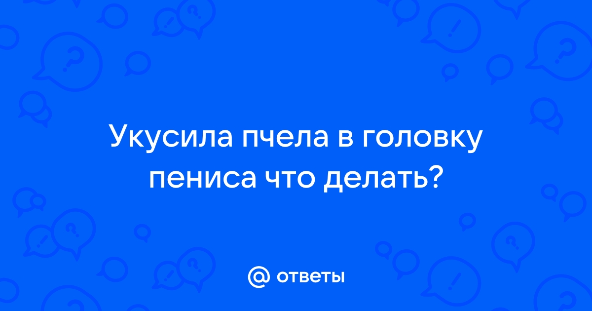 Первая помощь питомцу при укусах ос и пчел – статья о лечении животных ИВЦ МВА