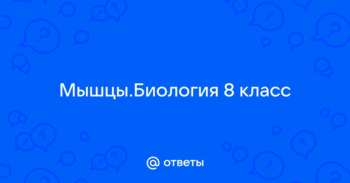 Конспект урока по биологии для 8 класса на тему: «Мышцы, их строение и функции»