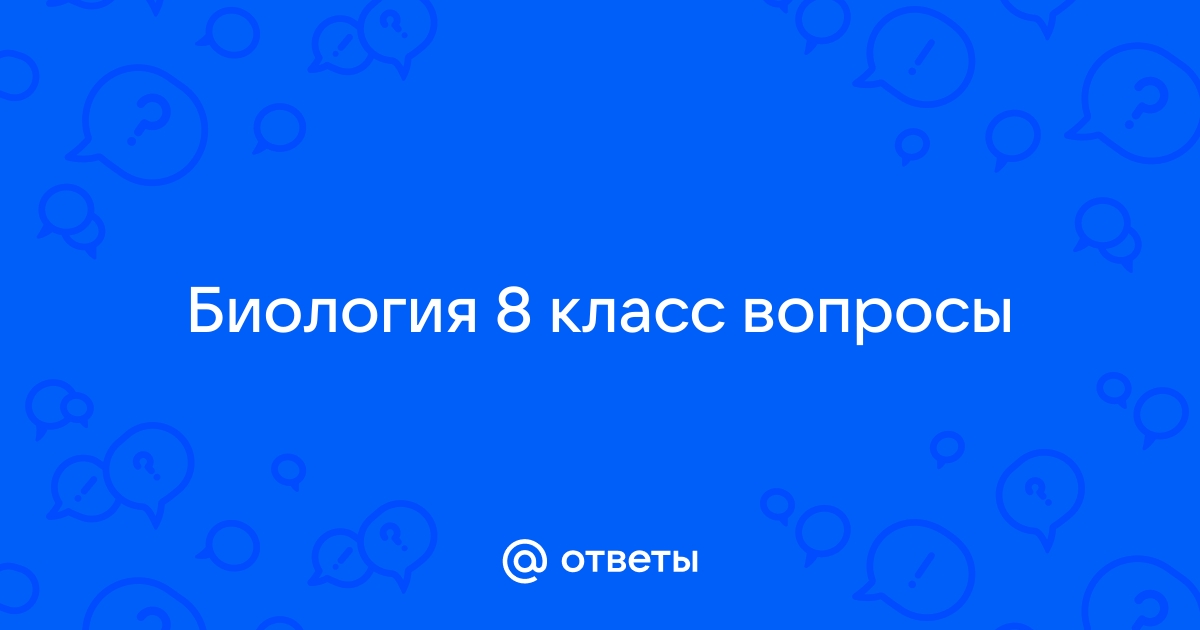 Вопросы к странице ГДЗ Биология 8 класс Учебник Драгомилов, Маш - ГДЗ РЕД