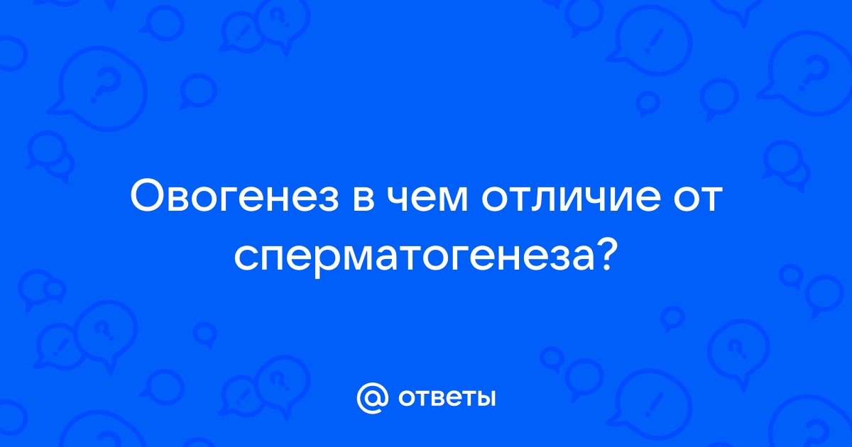 Сравнительная характеристика овогенеза и сперматогенеза