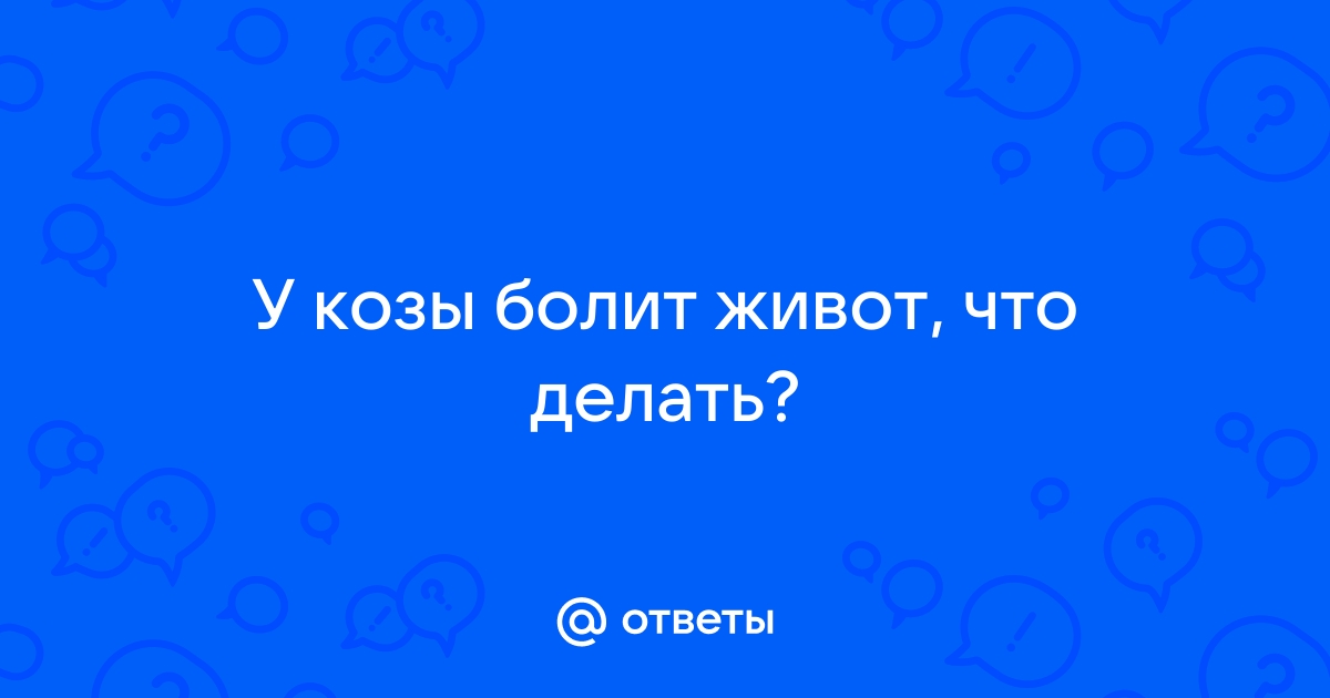 16:00 Об острой тимпании и рубца жвачных животных