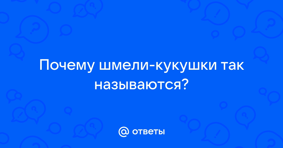 Вы точно человек?