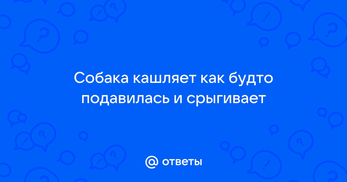 Что предпринять, если собака подавилась