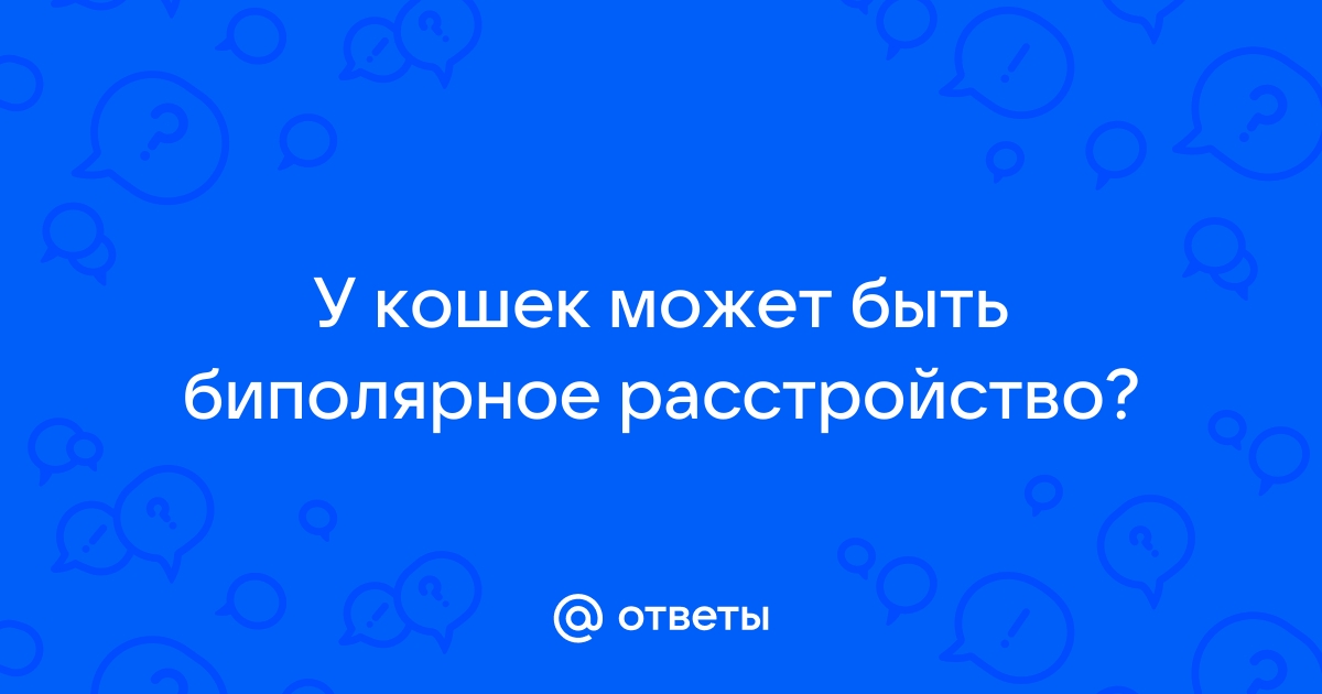 Биполярное расстройство у кошек