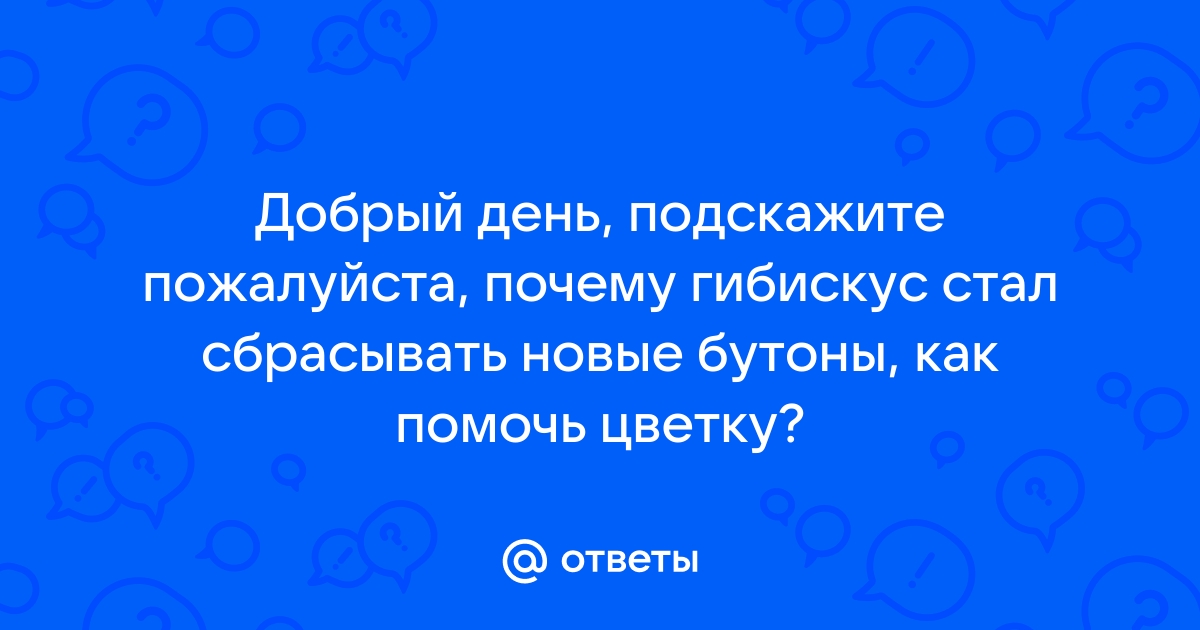 Почему опадают бутоны у гибискуса?