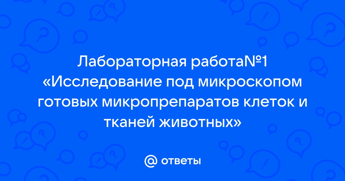 Исследование готовых микропрепаратов клеток и тканей животных