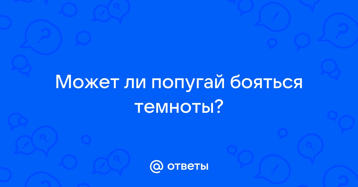 Можно ли спать с включенным фумигатором в комнате