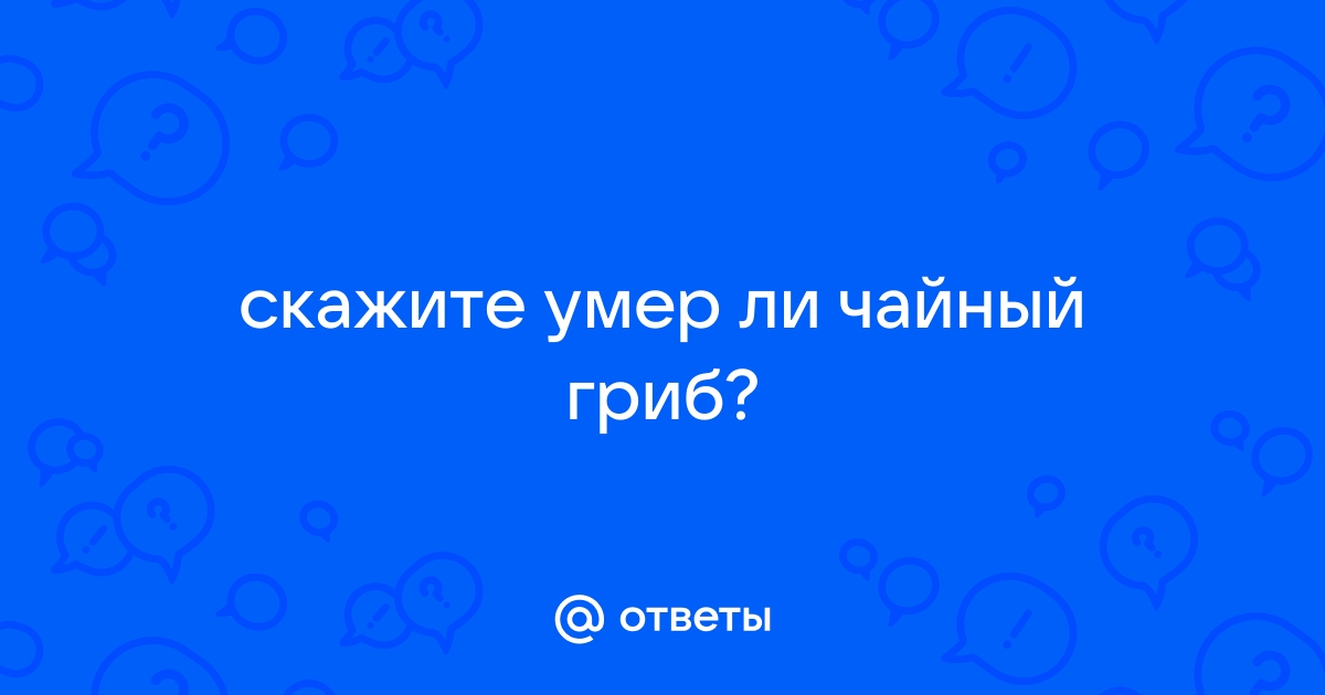 Как завести и не убить чайный гриб: подробная инструкция