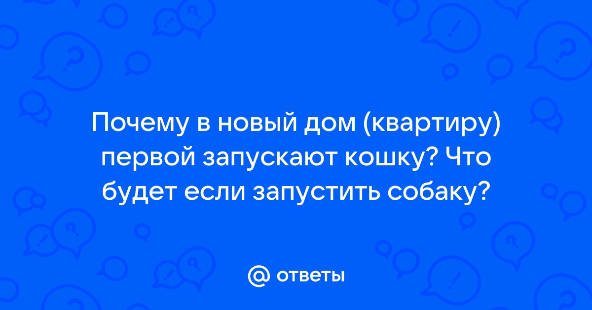 Почему в новый дом первой запускают кошку?