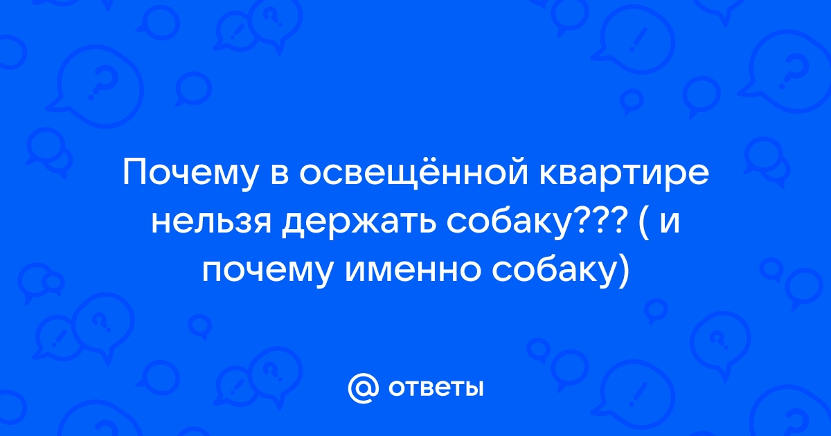 Собаки и церковь: отношение к собакам в мировых религиях