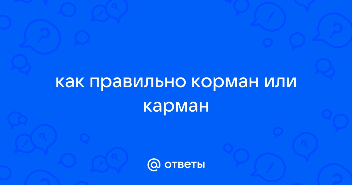 Карман или корман — как правильно пишется слово?