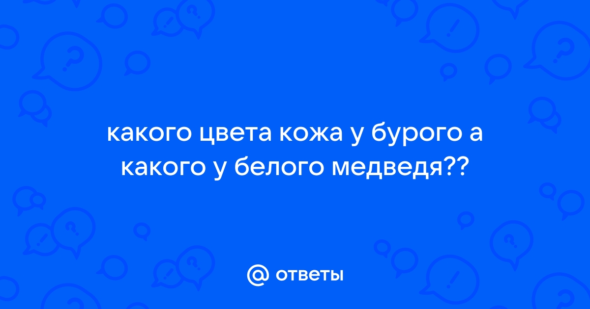 Какого цвета шерсть белого медведя