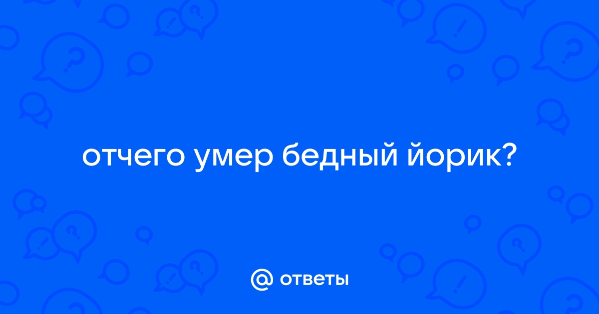  Mailru        