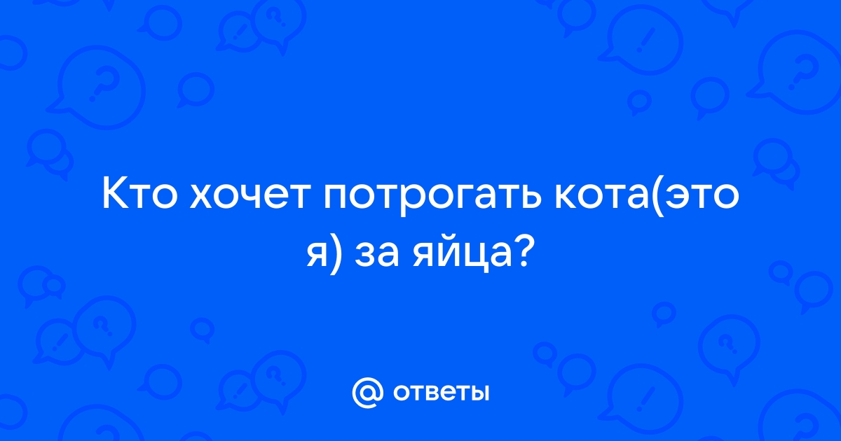 Поиск порно видео по запросу: в автобусе женщина трогает член, стр. 51